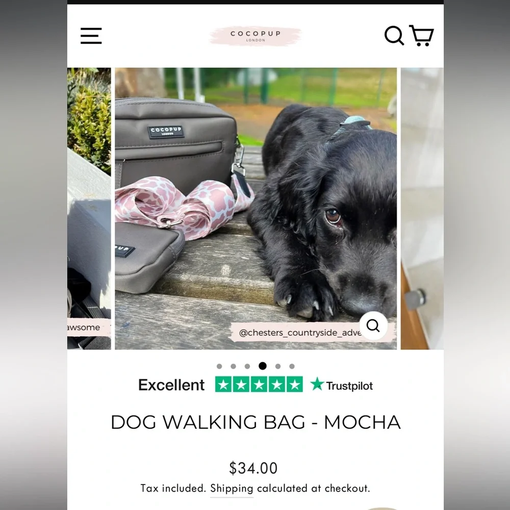 Cocopup London Dog Walking Bag - Mocha